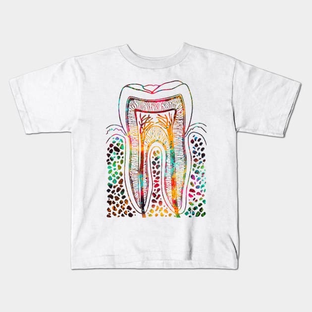 Tooth Structure Kids T-Shirt by erzebeth